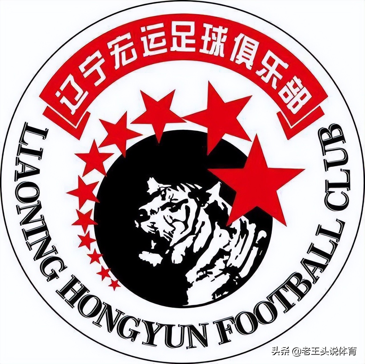 当年辽小虎视频,辽小虎的青春岁月