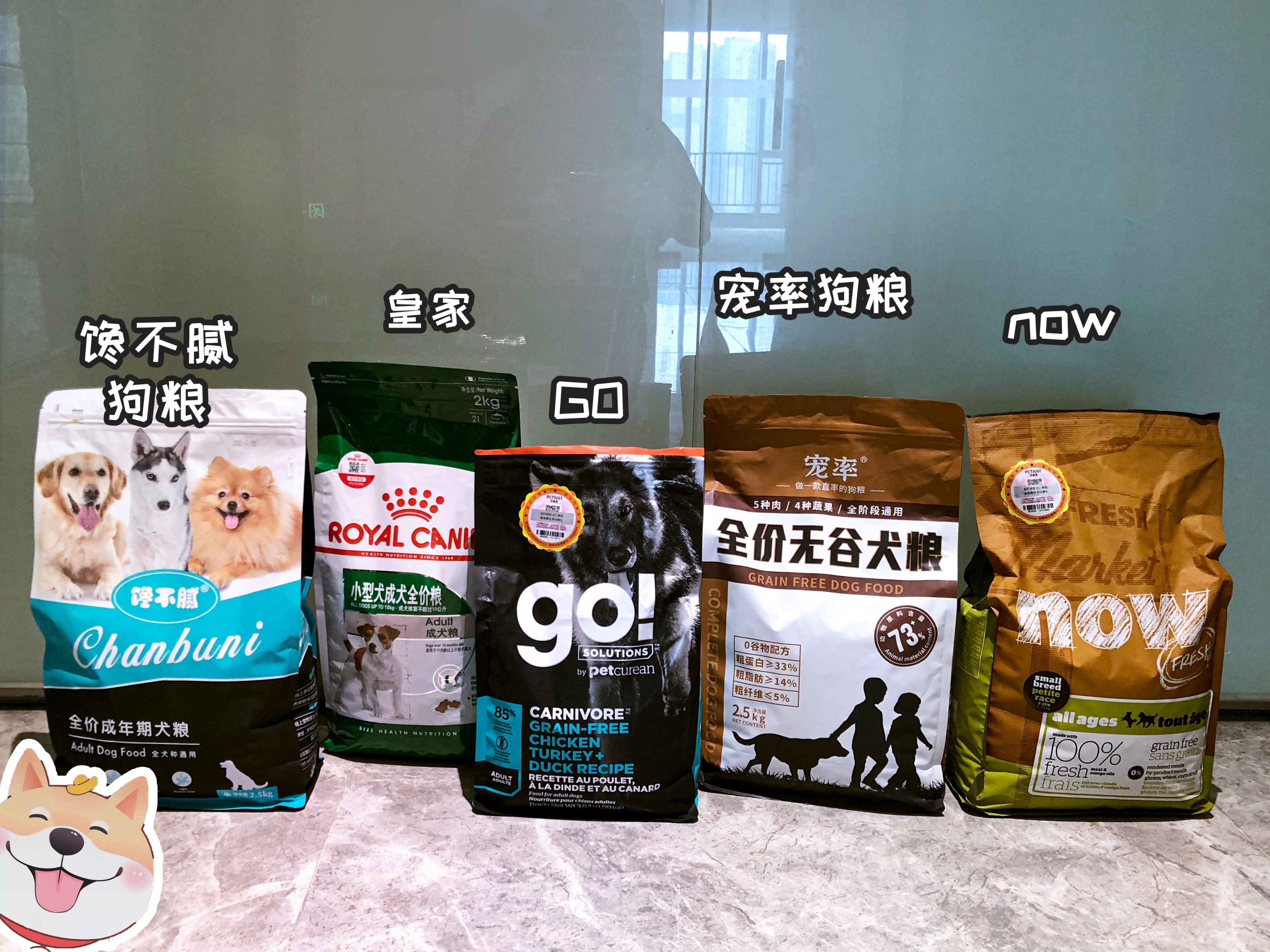 为什么好多人养了狗又不养了,为什么越来越多的人养橘猫