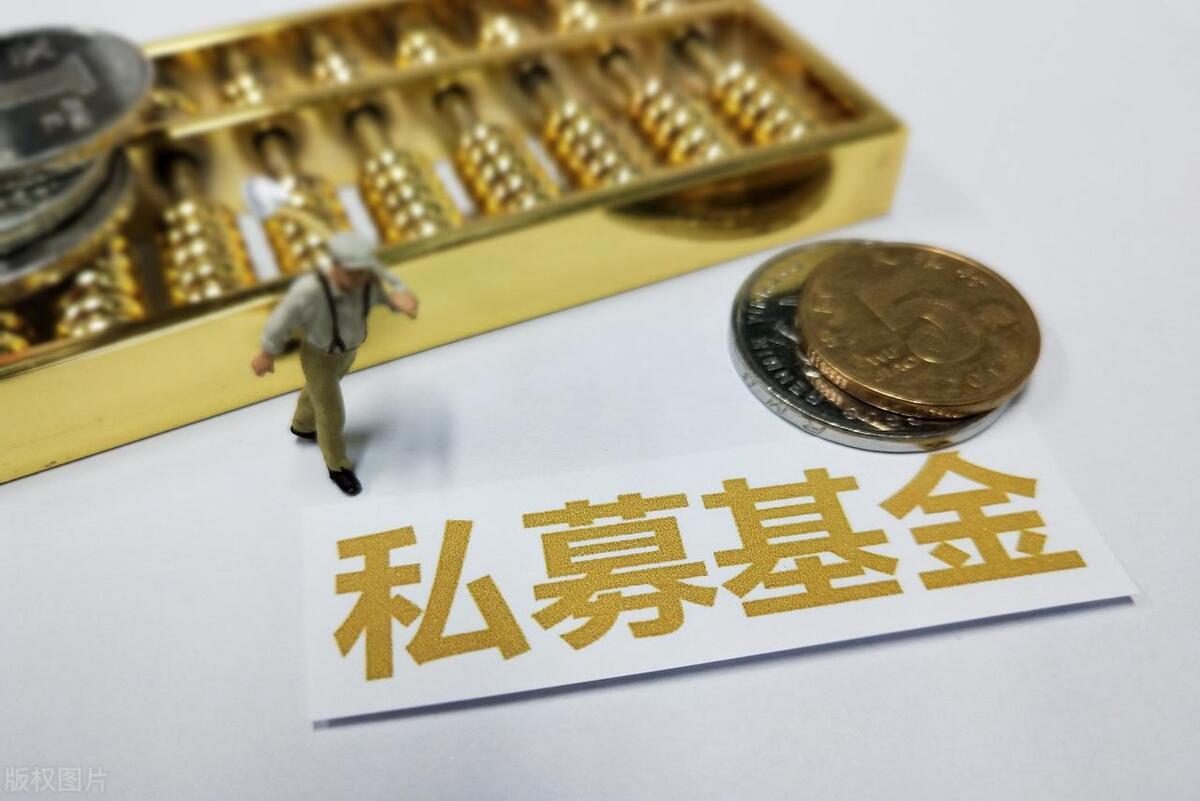 重庆私募基金排名前十,美国私募基金前十规模