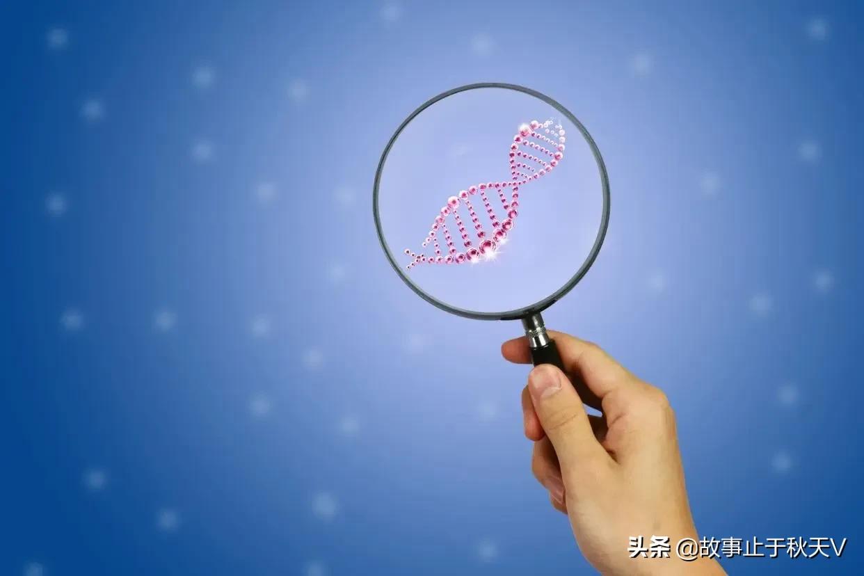 为什么讲“胎记”不是前世刻骨铭心的记忆？