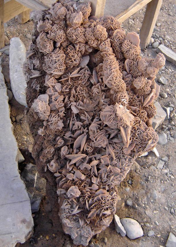 沙漠玫瑰原生地景观,沙漠里的沙漠玫瑰奇特景观