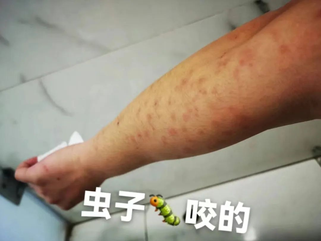 去印度读研，我为自己找到的人生“捷径”