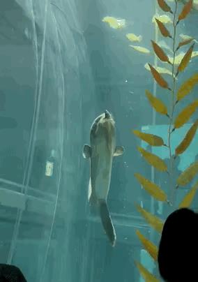 娶护士老婆后的真实感受,护士妻子大结局