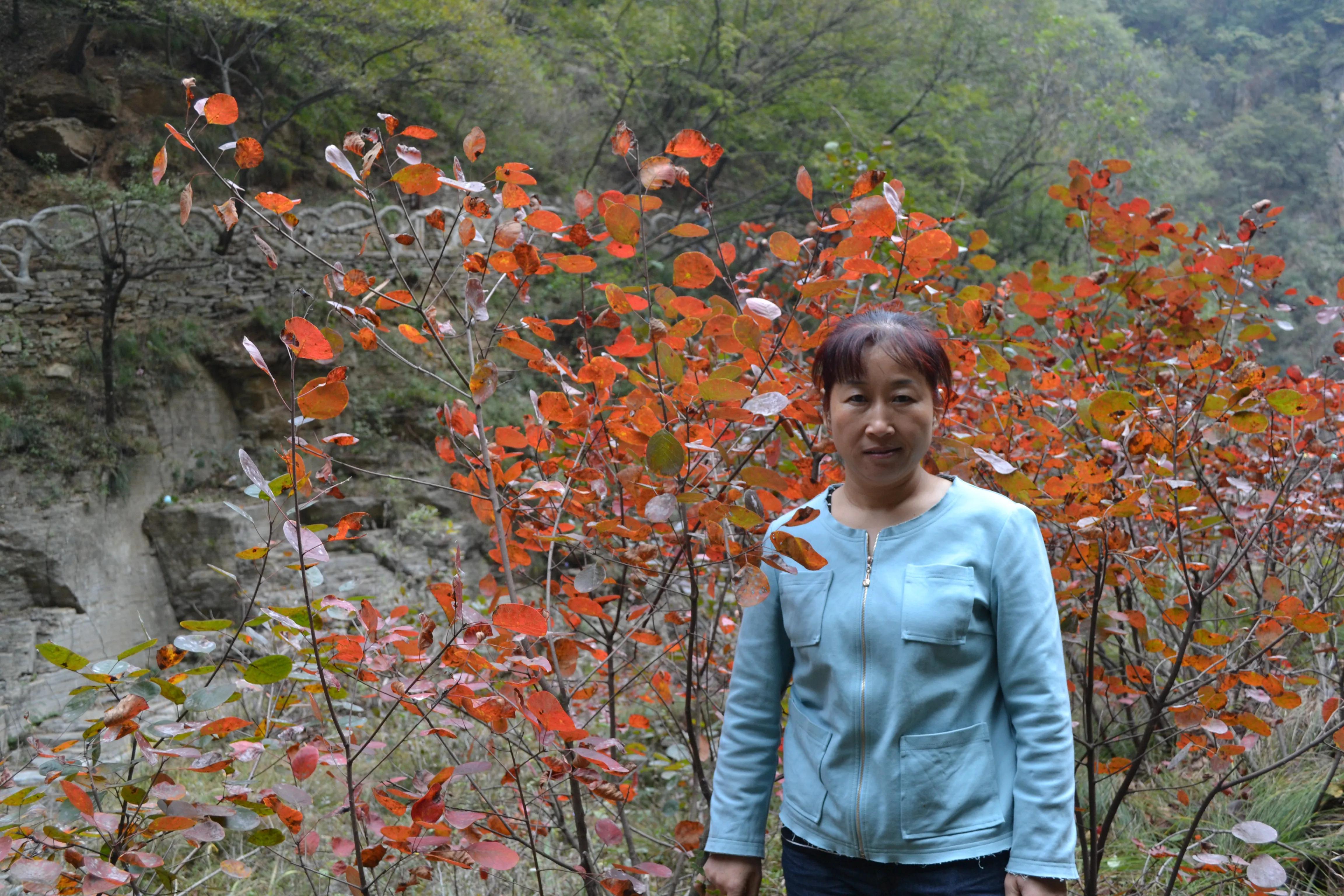 我的驴行日记——山西晋城蟒河