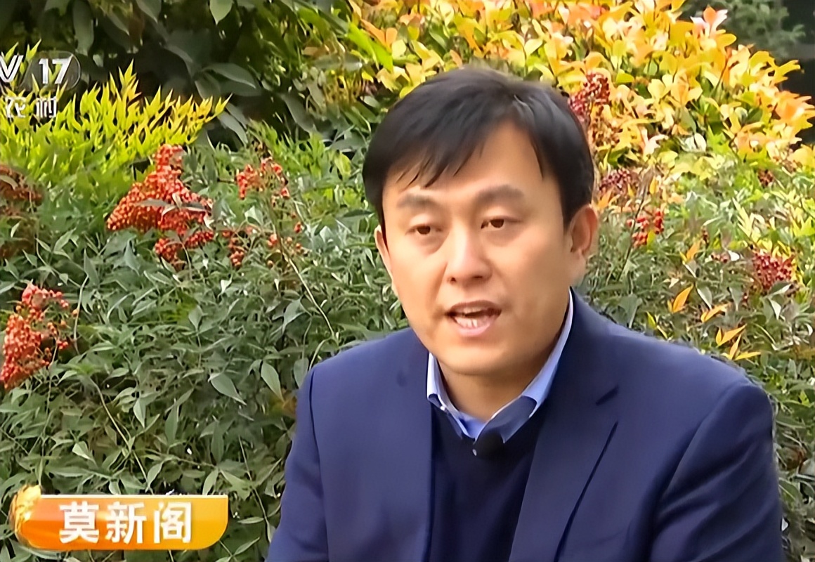 养殖羊的成功案例,大量养羊成功案例