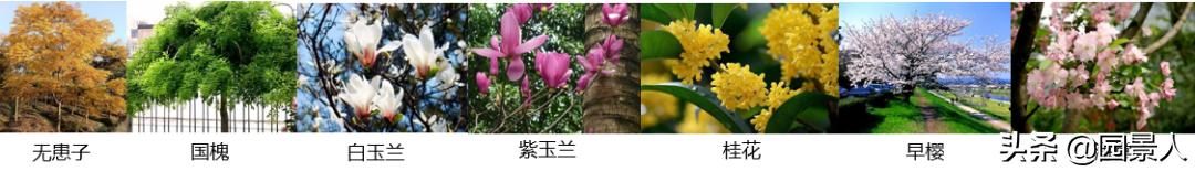 标杆房企园林景观工序,最新热销地产项目景观设计全解密