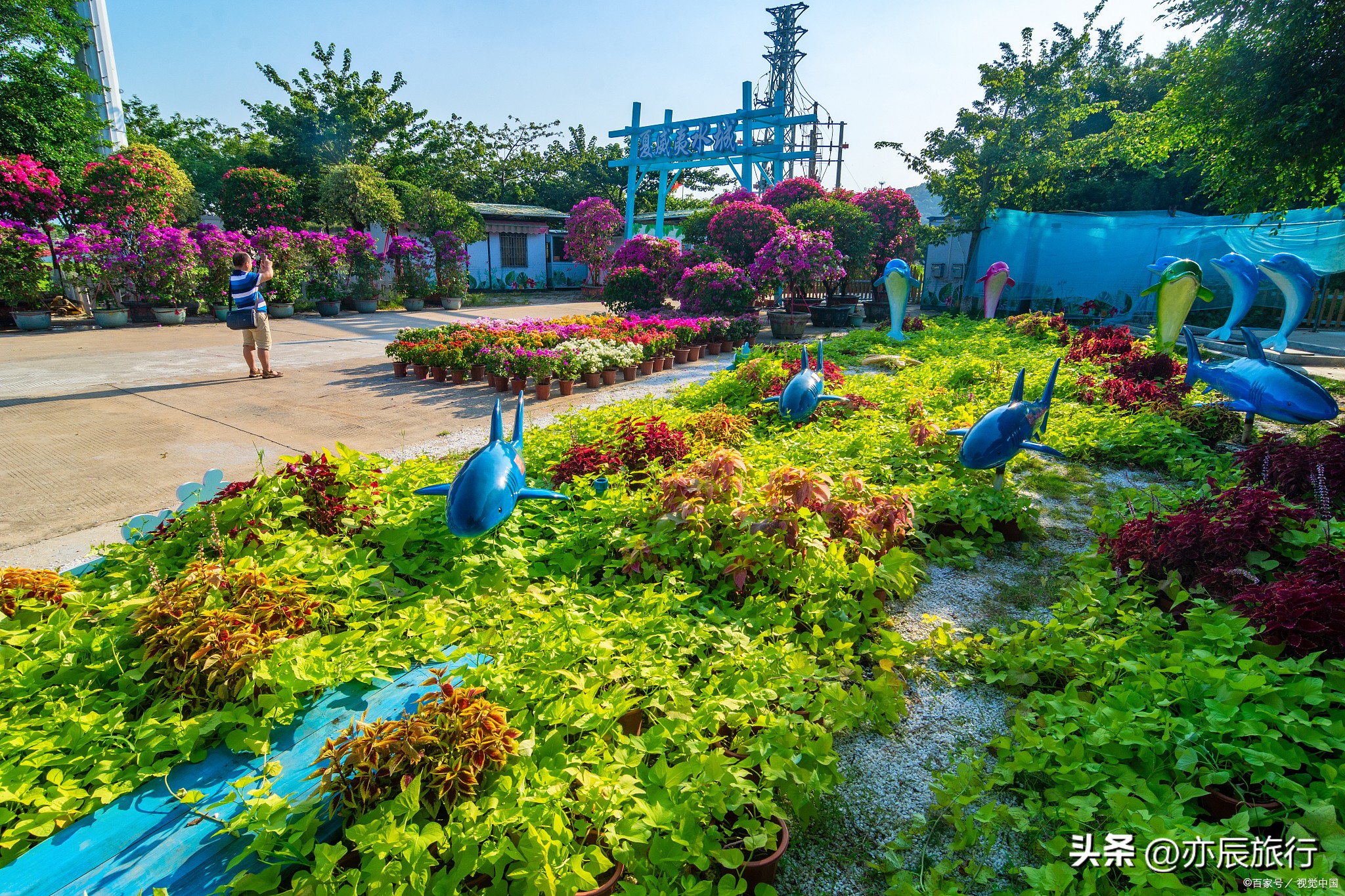 佛山秋天禅城必游景点,佛山11月游玩攻略自由行