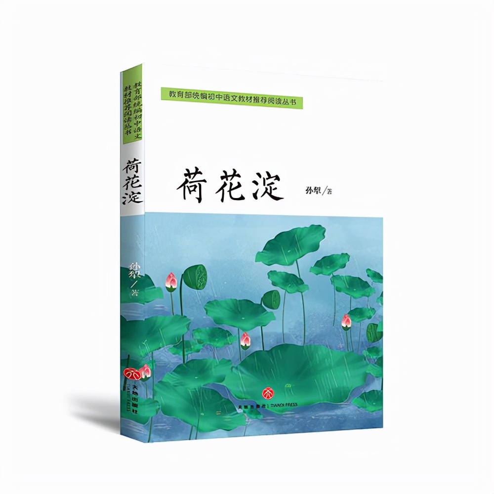 荷花淀中描写景色的句子,读课文荷花淀有感