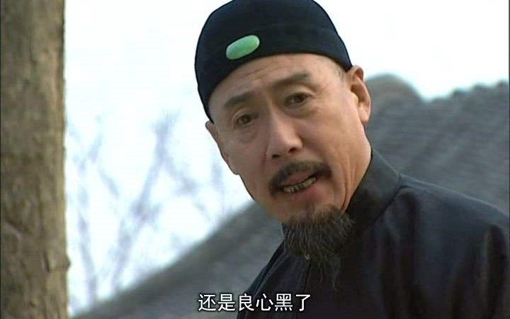 康熙王朝最经典的一部剧,十大经典历史剧排行康熙王朝垫底