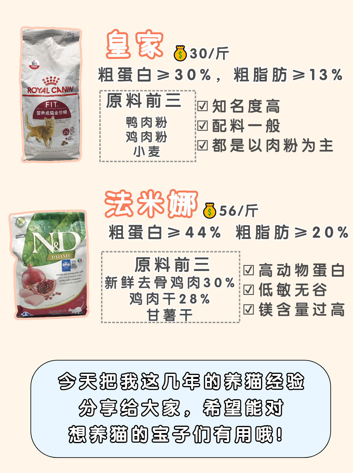 新手养猫攻略挑选健康猫咪篇,养猫最好选什么猫粮