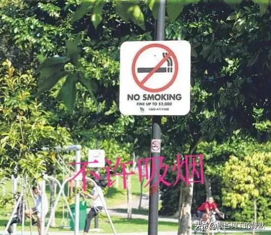 新加坡华人童年回忆,新加坡历史回忆录