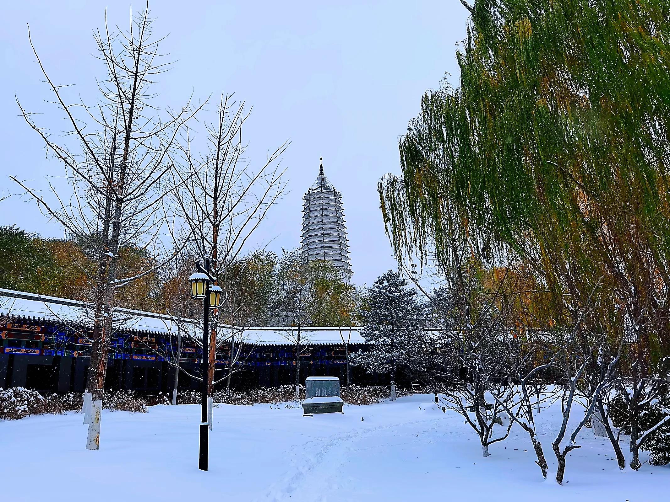 沈阳冬季旅游攻略必玩的景点,沈阳必去的三大景点沈阳森林公园