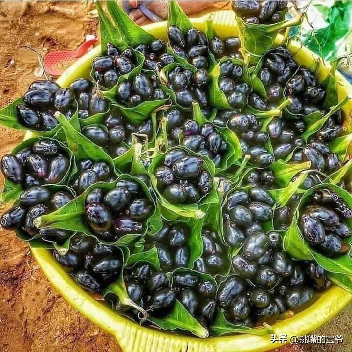 马来西亚特别推荐的水果,华人在马来西亚所占的比例