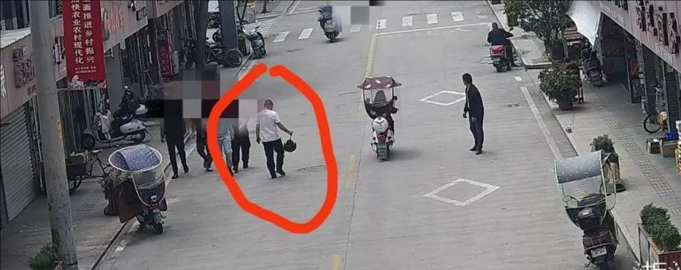 鲎为什么在中国很幸运,鲎真的有那么珍贵吗