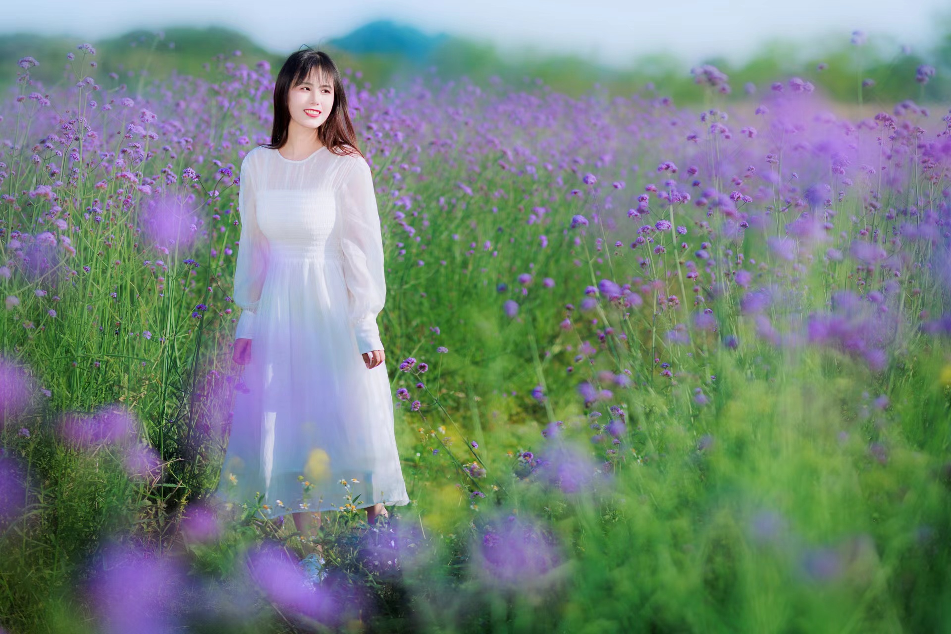 一束花拍照怎么拍出高级感图文,拍照技巧教程风景花