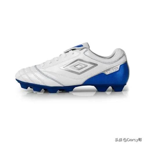 从始祖鸟到金鸟,安踏收购始祖鸟为何还那么贵