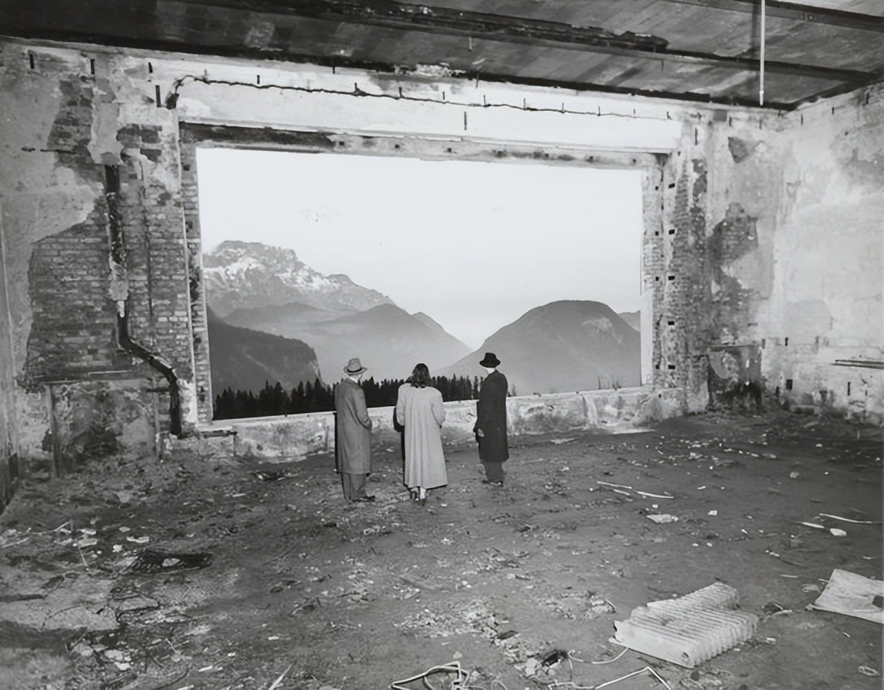 30张活久见的对比照,鳄鱼被电鳗电死的视频