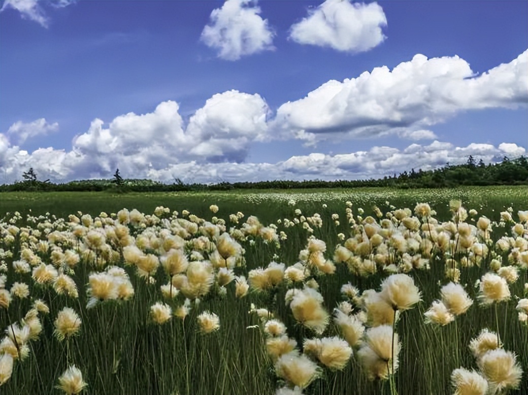 凤凰山旅游景区门票优惠政策最新,凤凰山景区2022年五一优惠政策