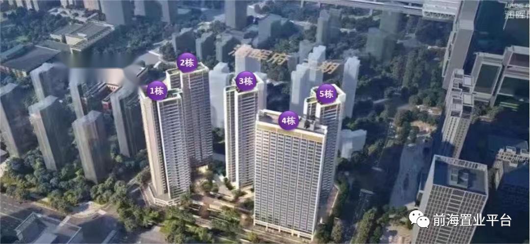 沙井光明潜力,沙井光明新城