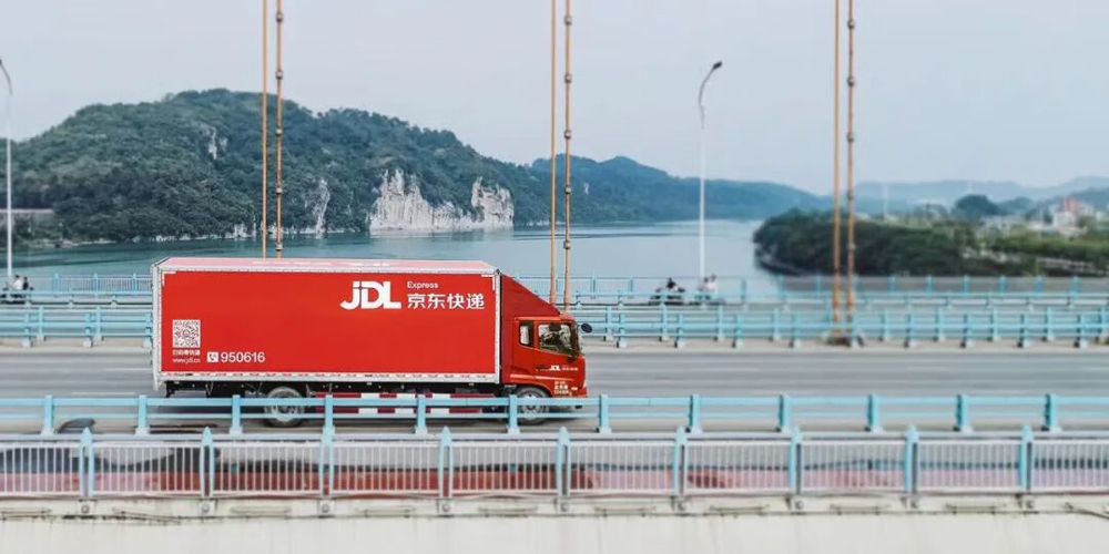 猫狗双十一,猫狗拼双十一