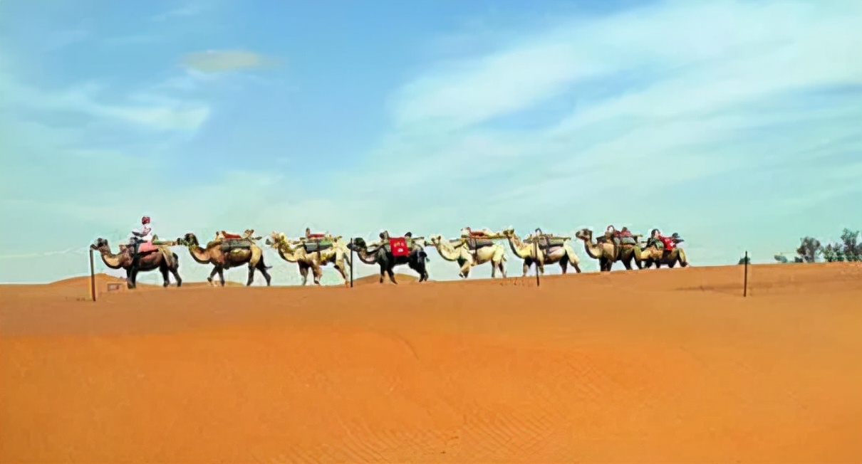 张掖真的是一个适合奋斗的城市,感受甘肃的独特魅力