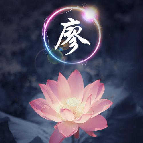 姓氏荷花头像图片大全,荷花姓氏头像图片大全