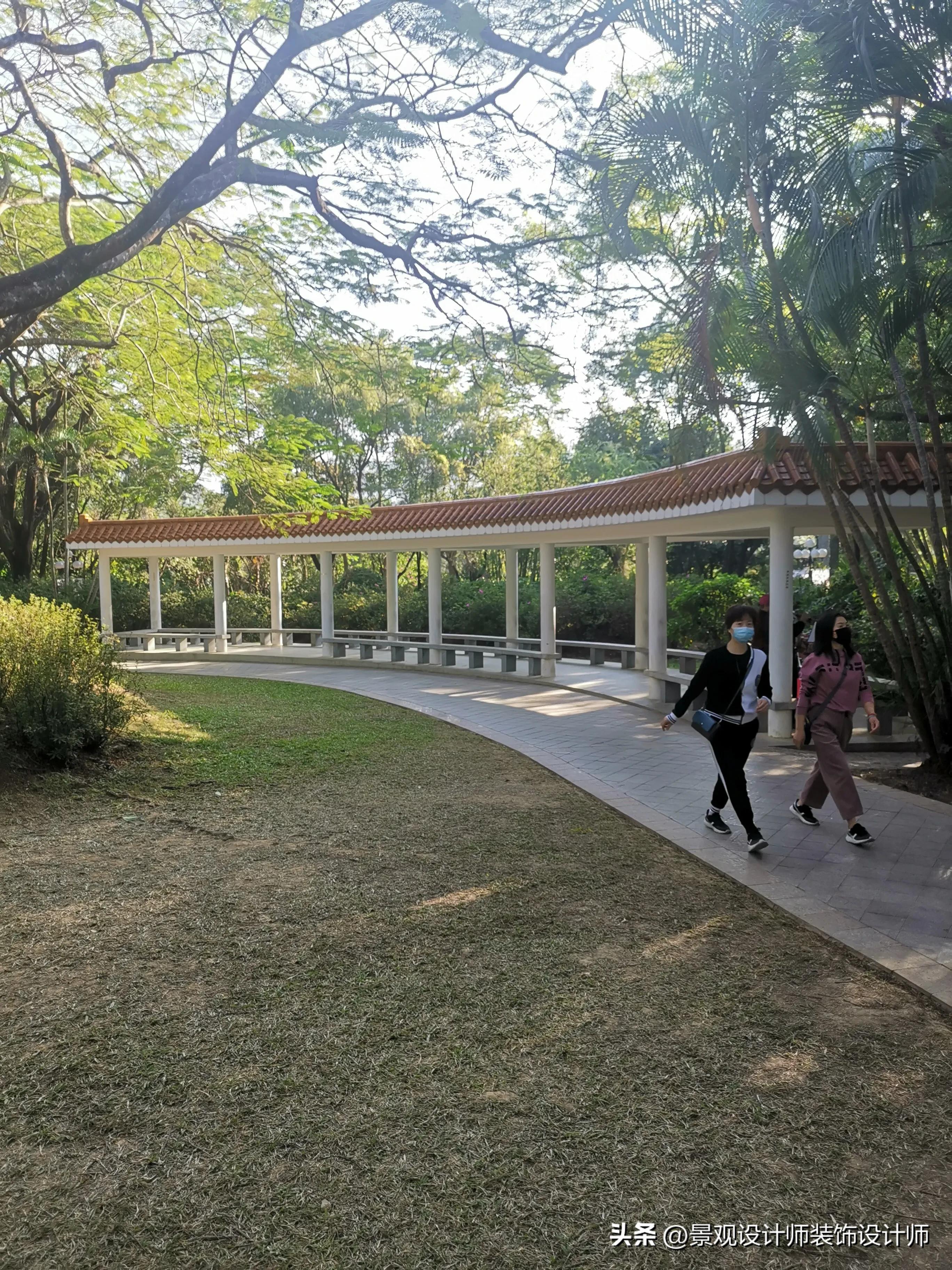 深圳市东湖公园广场舞,深圳市东湖公园收费标准