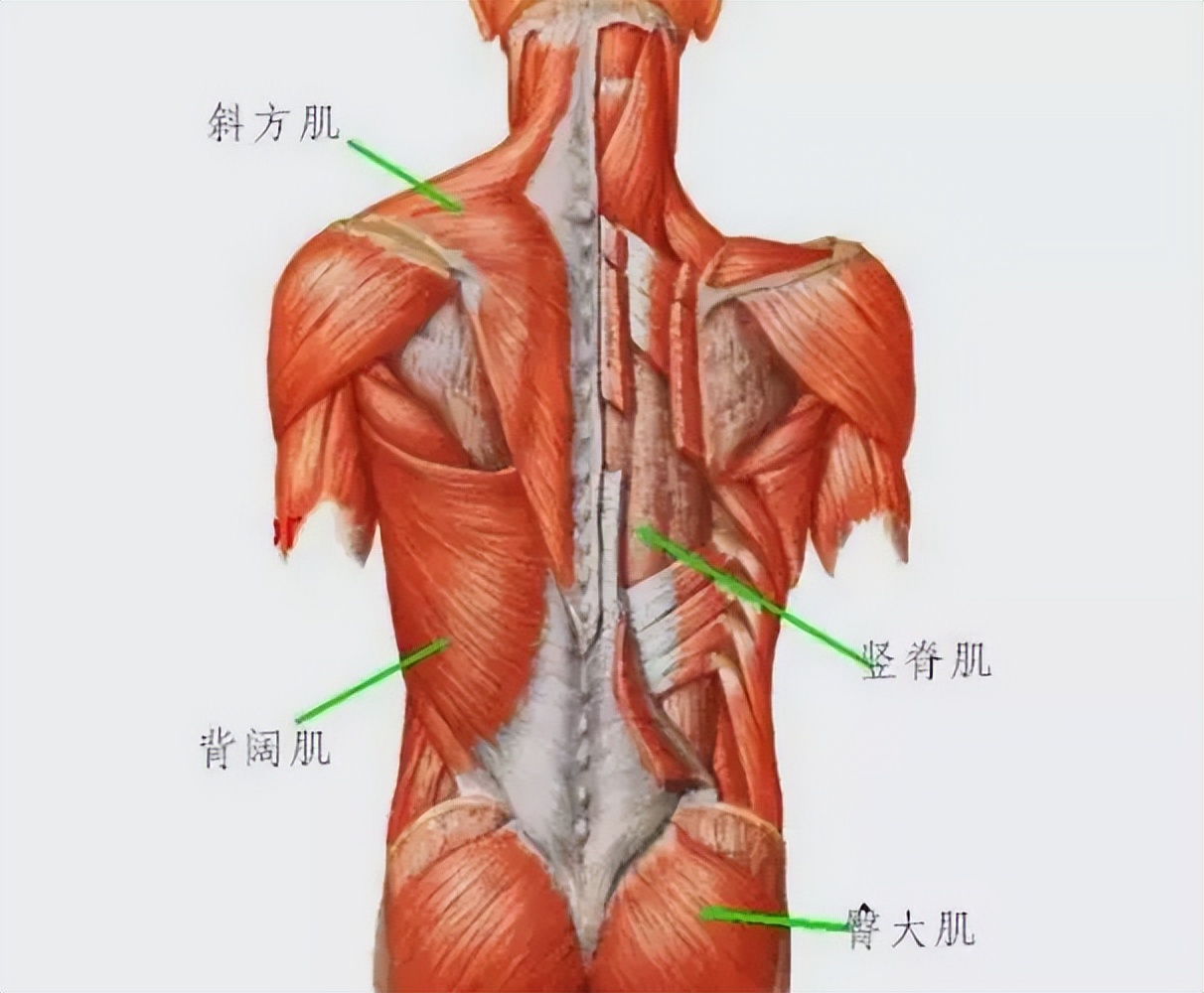 胸椎正骨推拿手法,中医胸椎推拿手法全套教程