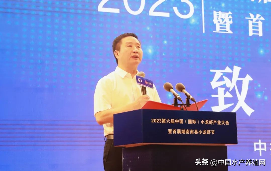 2023年南县小龙虾价格行情,南县小龙虾价格报价