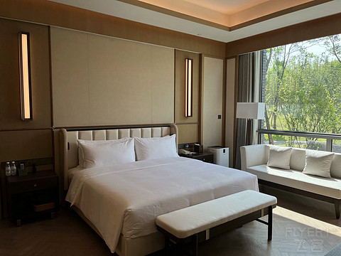 鍒濆涔嬫梾榛勯噾娴峰哺,鍒濆涔嬫梾