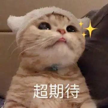 成都城市足球联赛拉开帷幕,成都入选中超