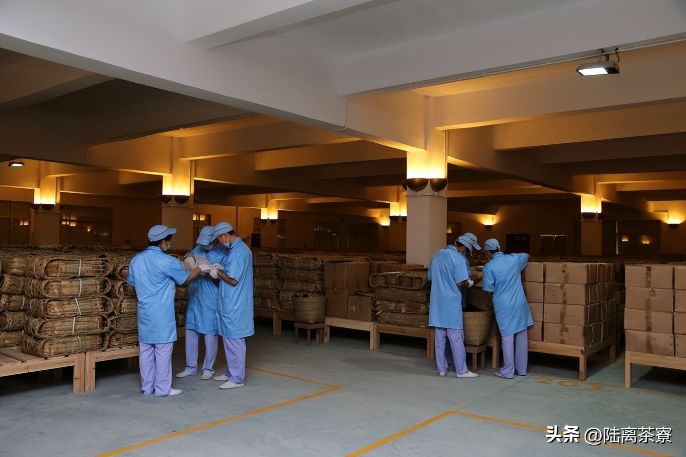 陈永堂与双陈普洱：深耕仓储，野望未来