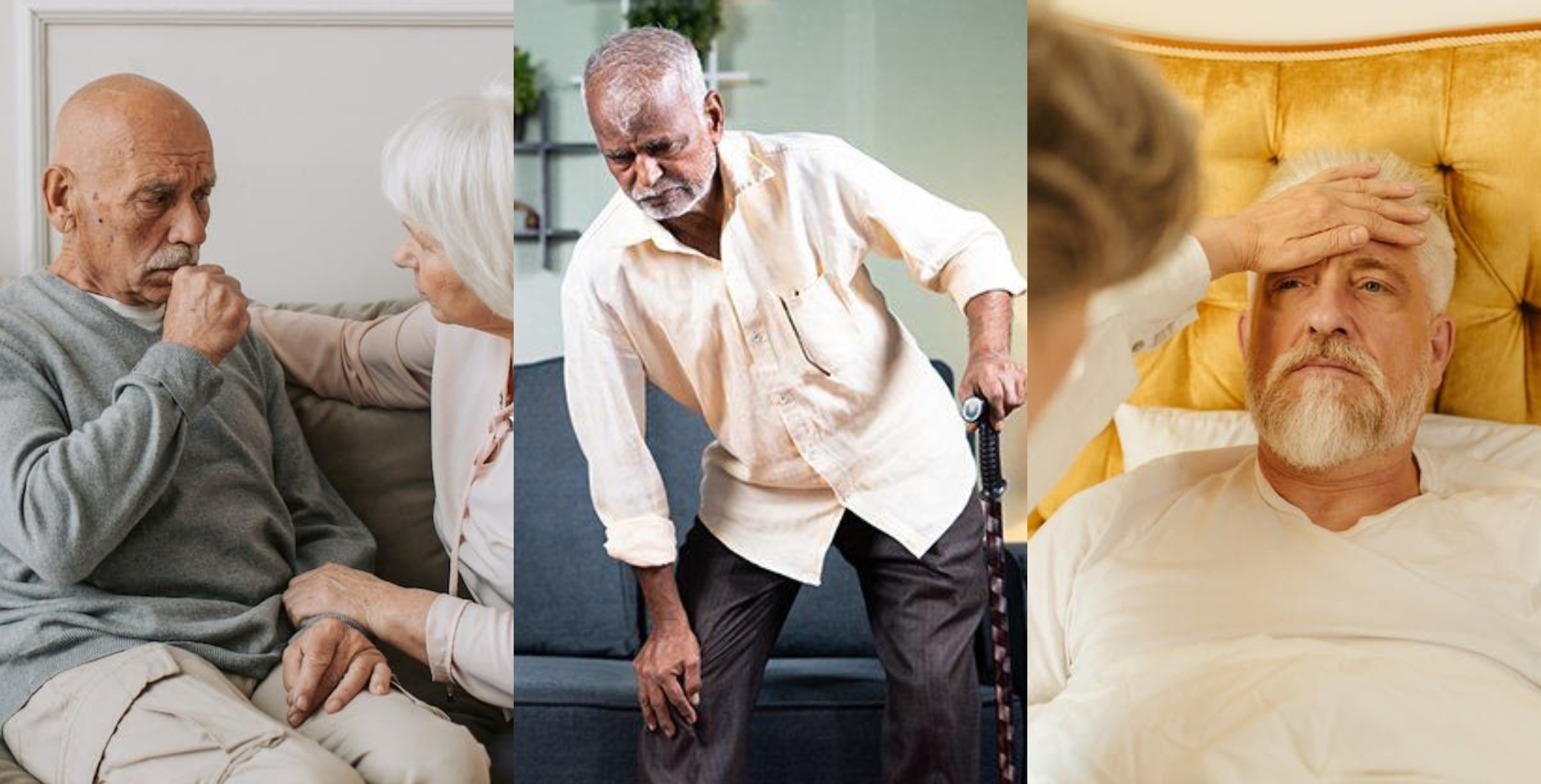 老年食品行业,三大战略性新兴产业