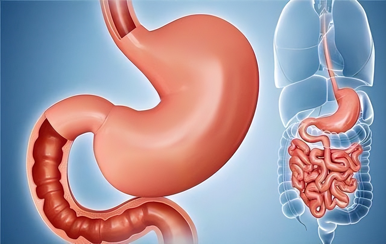 “普通胃镜”与“无痛胃镜”，二者有什么不同？医生告诉你答案