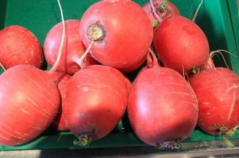 三九补一冬吃什么食物,冬补三九下一句