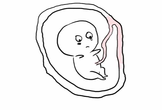 肚脐眼凸出来是脐带没剪好吗,为什么肚脐眼上面有一条凹线