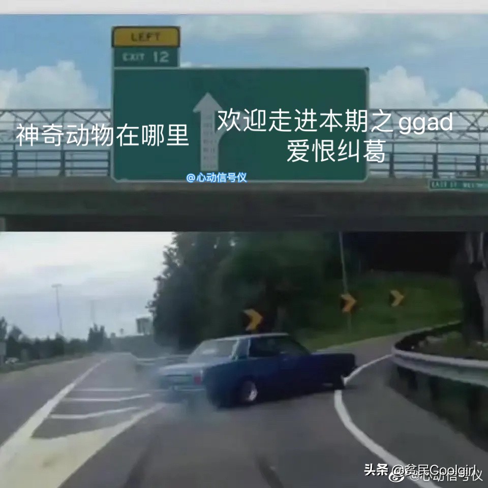 神奇动物之邓布利多之谜免费观看,神奇动物邓布利多之谜彩蛋