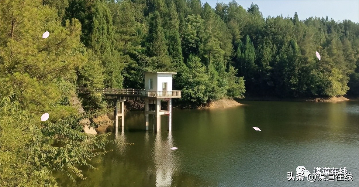 人间最美四月天踏春邂逅仙女湖,人间最美四月天春日踏青美景欣赏