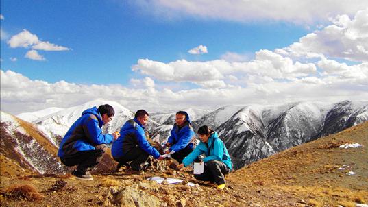 沁水盆地的煤炭结构及采矿活动，对环境的潜在意义