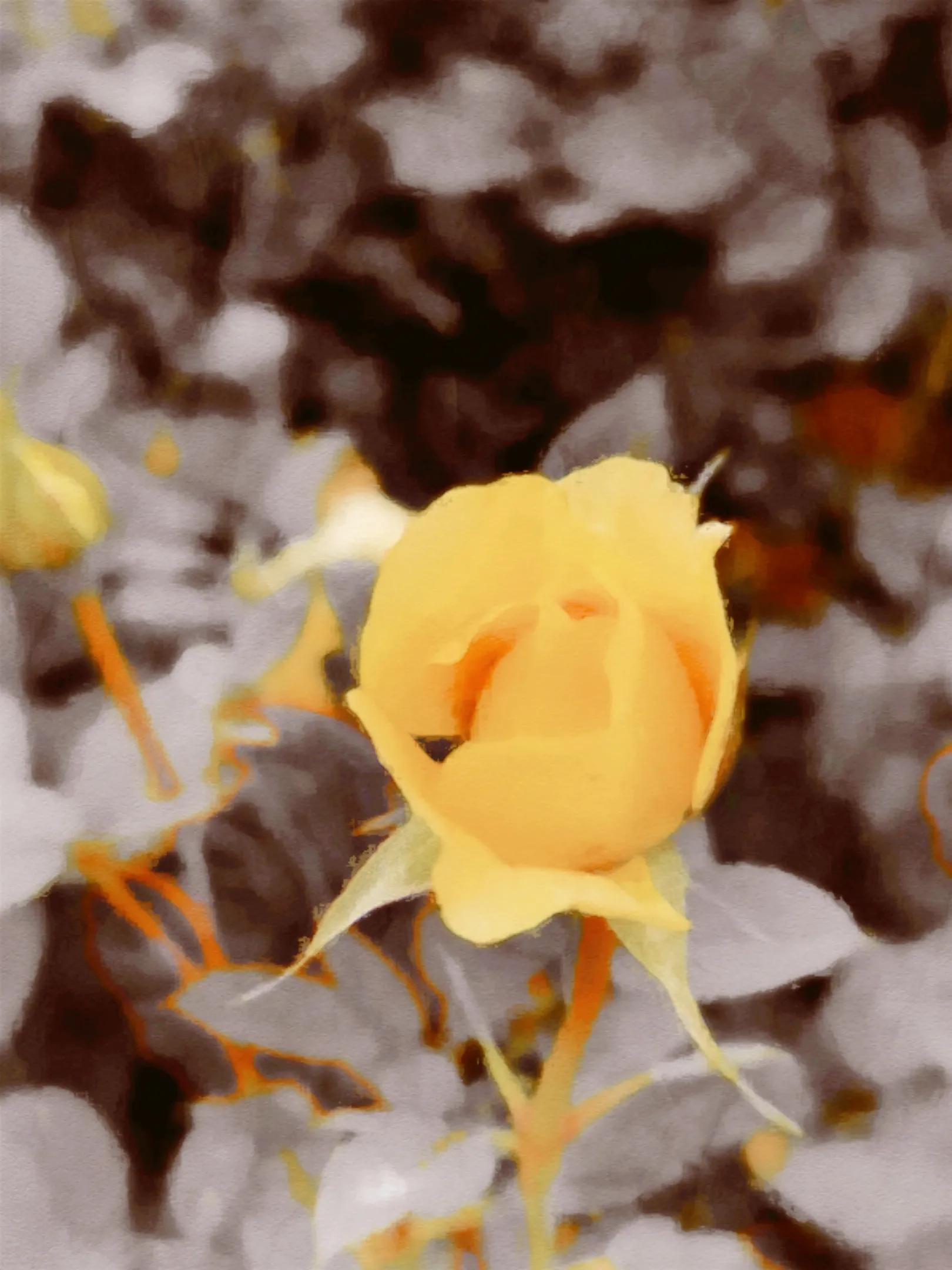 乳腺癌论文参考前言,一本书的前言参考