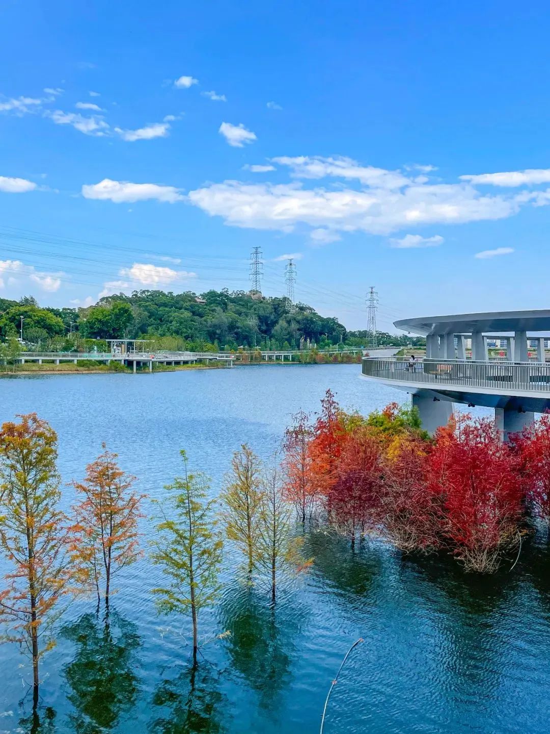 2019年厦门秋游,厦门高中秋游