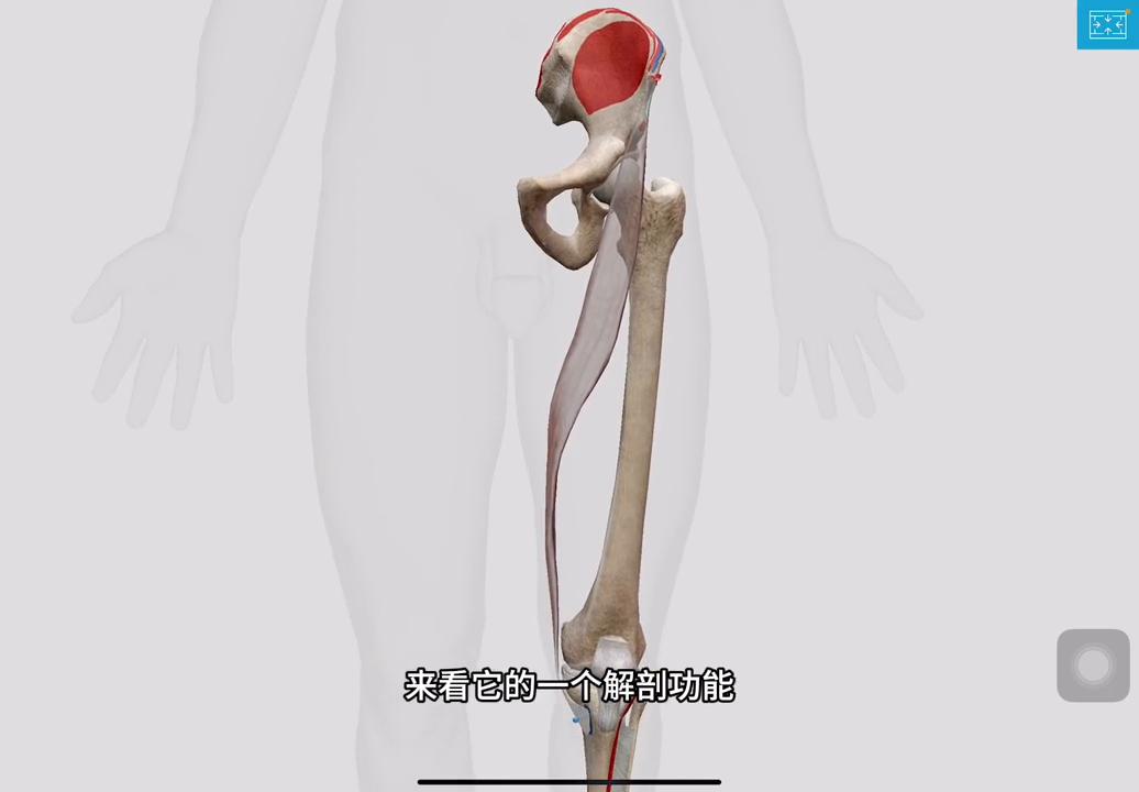 远离伤病的视频,远离伤病短句