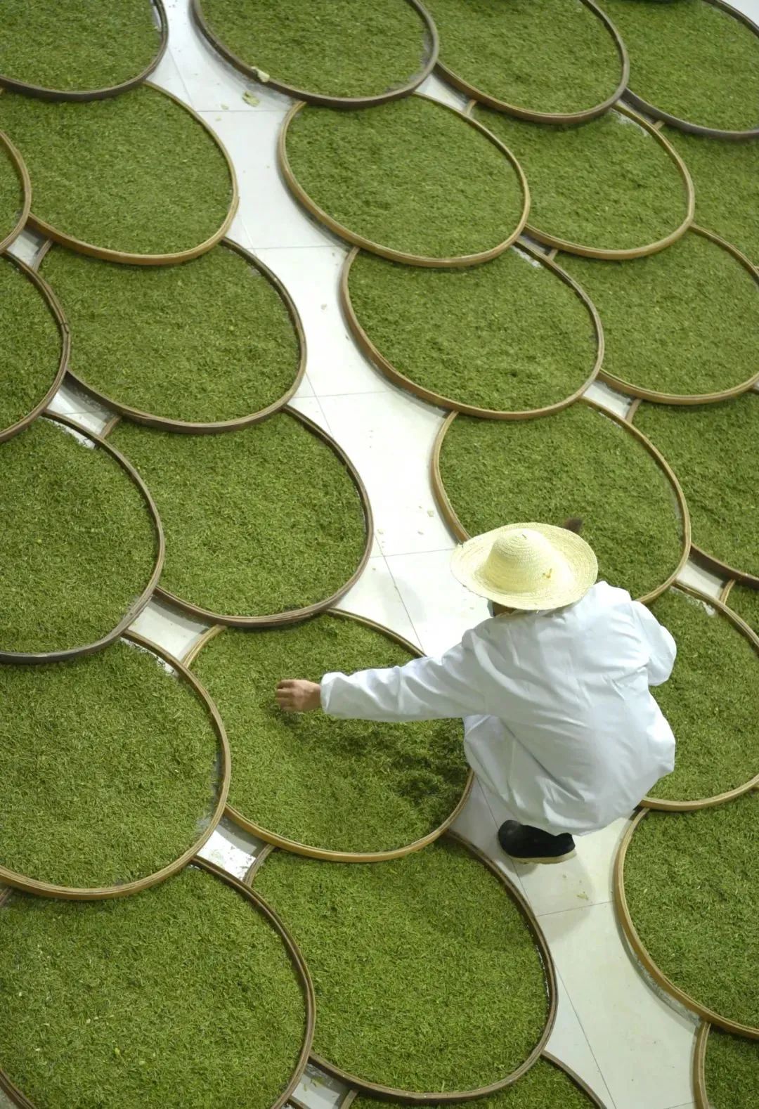 湖北茶的特点,楚国茶文化