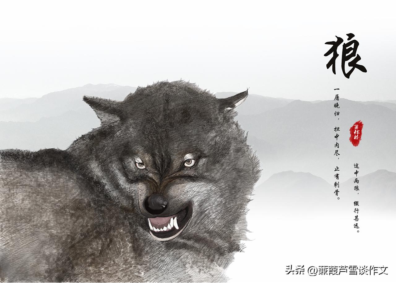 精品网课，佳作偶成（一）——阿宝老师的“作文经”（二七八）