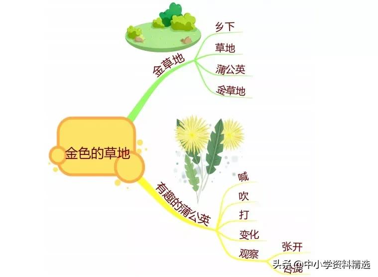 三年级语文上册生字思维导图,部编版三年级语文上册思维导图
