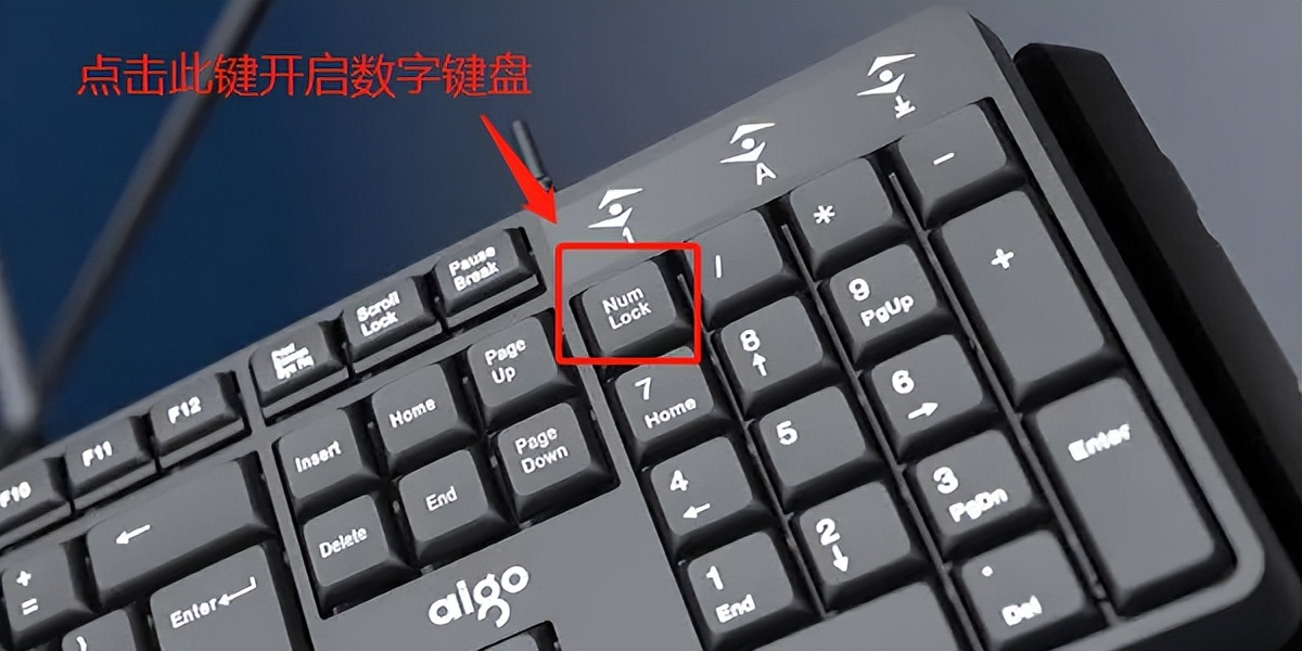 电脑数字1打不出来怎么办,电脑键盘打不出字母只能打出数字