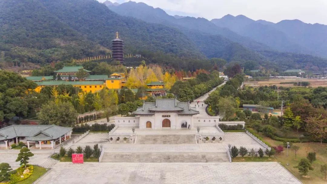 letsgo一周目图文攻略,letsgo图鉴攻略