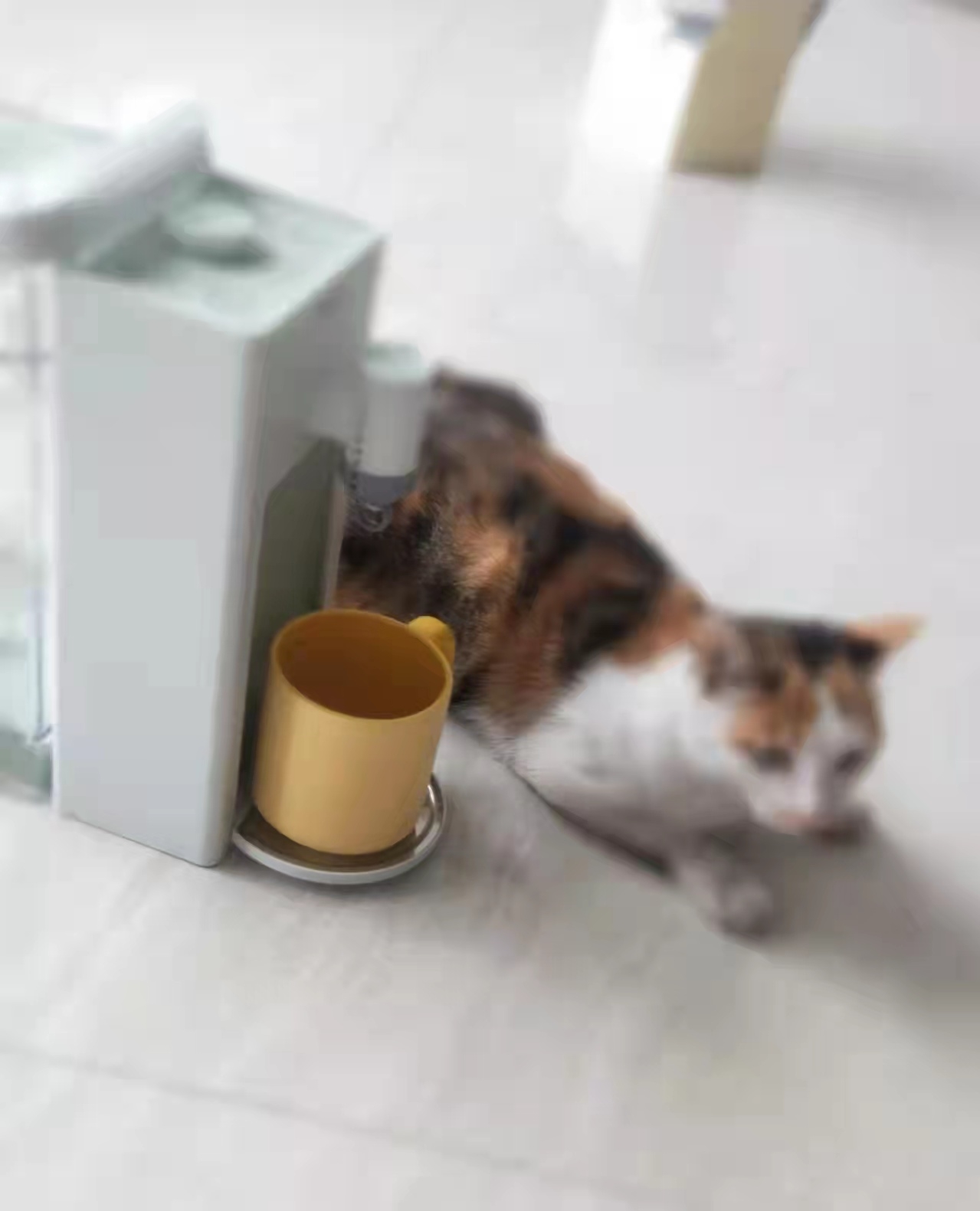 喝水当然要有仪式感,喝水都变得有仪式感