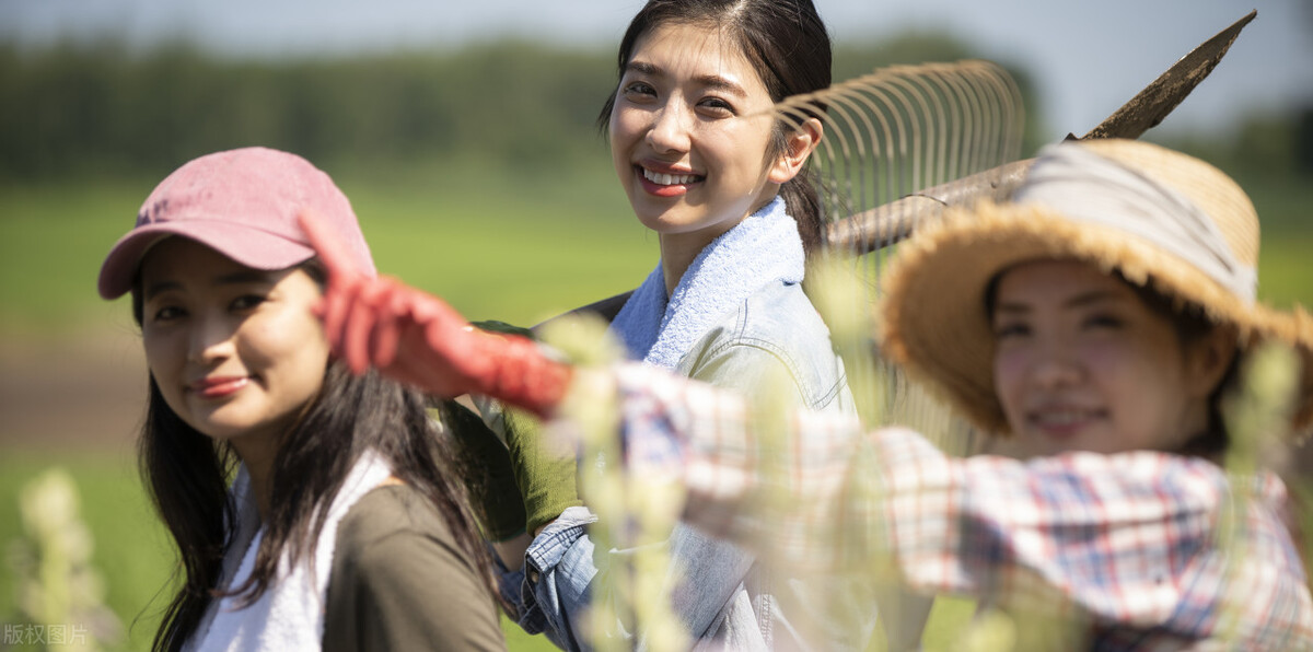 种粮补贴谁能领农业农村部回应了,种粮农民一次性补贴是补贴给谁