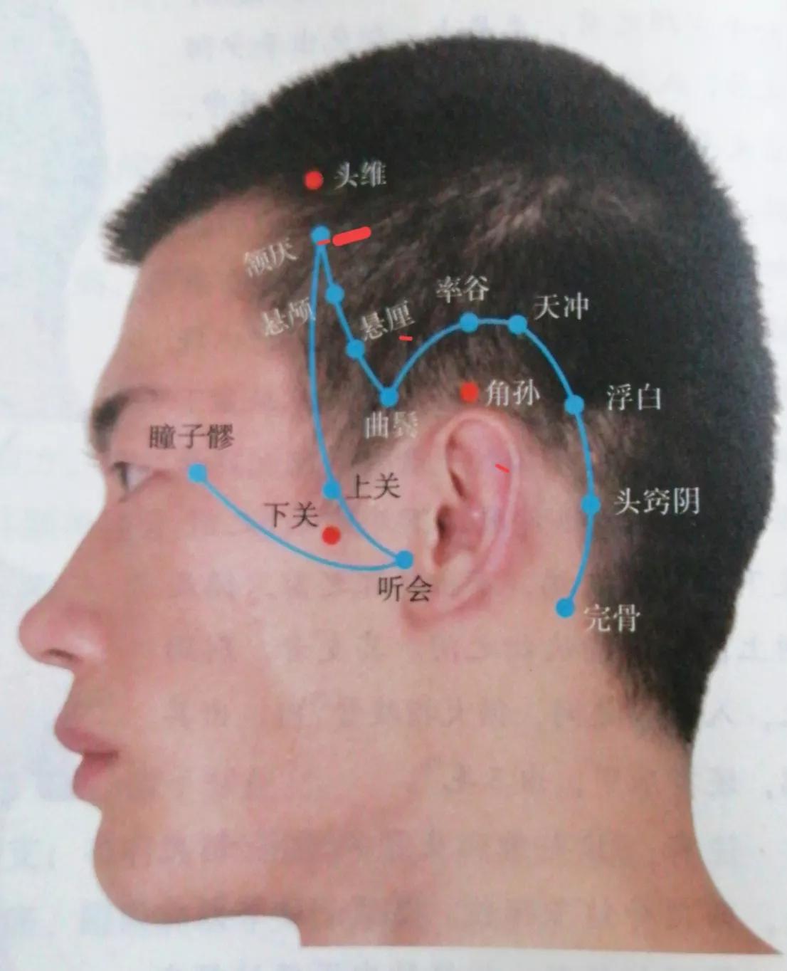 颔厌穴位的准确位置图,颔厌穴位准确位置图